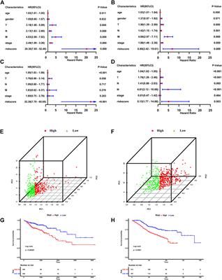 Comprehensive exploration of tumor immune microenvironment feature and therapeutic response in colorectal cancer based on a novel immune-related long non-coding RNA prognostic signature